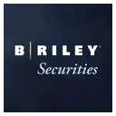 B. Riley Securities