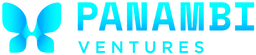 Panambi Ventures, VC Fund