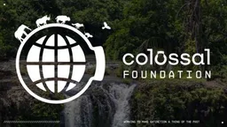 The Colossal Foundation