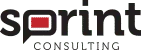 Sprint Consulting