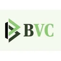 Breakthrough Venture Capital