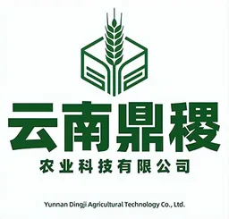 Yunnan Dingji