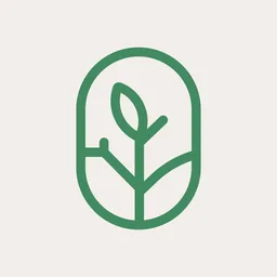 Ficus