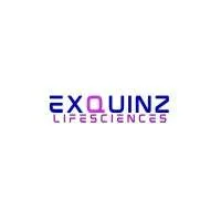 Exquinz
