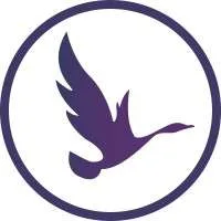 OdinSchool