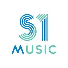 Solution One Holding Co.