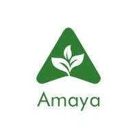Amaya