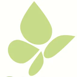 Pieridae Energy