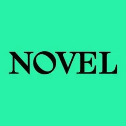 Novel