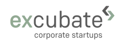 Excubate Corporate Startups