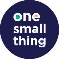 One Small Thing