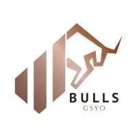 BULLS GSYO, VC Fund
