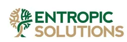 Entropic Solutions