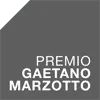 Premio Gaetano Marzotto, VC Fund