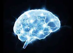 LAZYBRAIN
