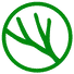 Pine Venture Partners