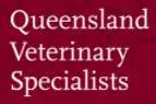Queensland Veterinary Specialists