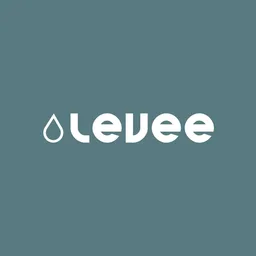 Levee