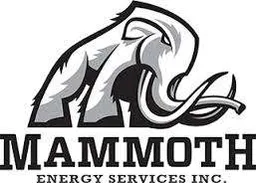 Mammoth Energy Services