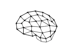 Quantas Labs