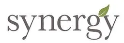 Synergy Enterprises