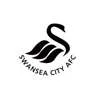 Swansea City