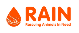 Rain Rescue