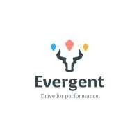 Evergent Investments, VC Fund