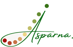 Asparna Venture Studio