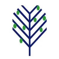 LimeTree Capital