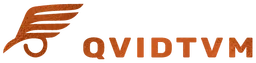 QVIDTVM, VC Fund
