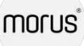 Morus