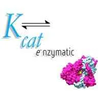 Kcat Enzymatic