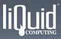 Liquid Computing