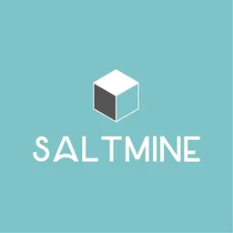 Salt Mine