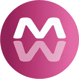 MetaMirror