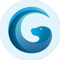 Gomodo Technologies
