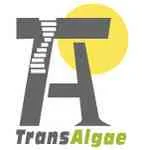 TransAlgae