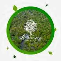 Amazonians Green Coin