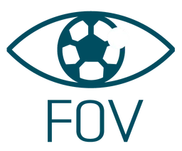Field of Vision