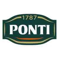 Ponti, VC Fund