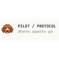 Pilot Protocol