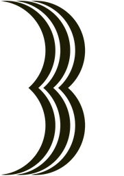 Bird Capital