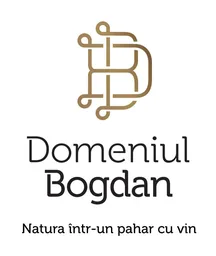 Domeniul Bogdan, VC Fund