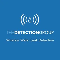 The Detection Group
