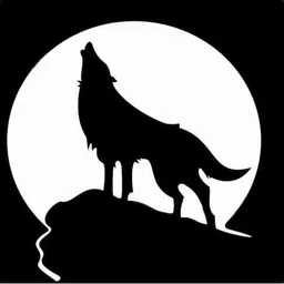 THREE WOLVES VENTURES, VC Fund