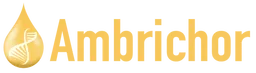 Ambrichor