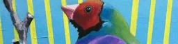 Amy Mackenzie Counselling and Art Therapy Services