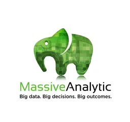 Massive Analytic