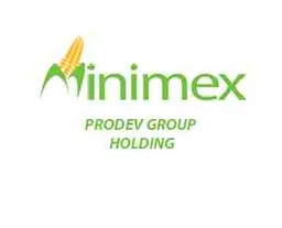 ProDev Group Holdings